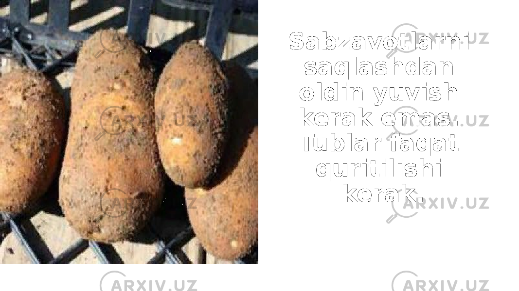 Sabzavotlarni saqlashdan oldin yuvish kerak emas. Tublar faqat quritilishi kerak. 