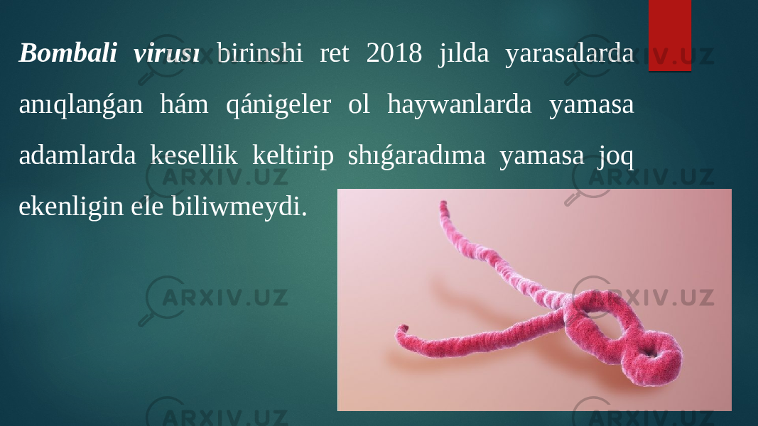 Bombali virusı birinshi ret 2018 jılda yarasalarda anıqlanǵan hám qánigeler ol haywanlarda yamasa adamlarda kesellik keltirip shıǵaradıma yamasa joq ekenligin ele biliwmeydi. 