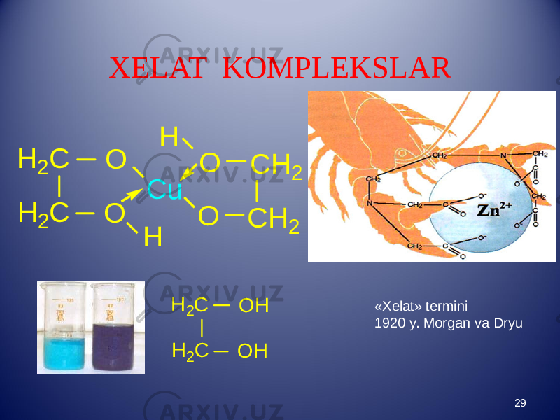 XELAT KOMPLEKSLAR 29«Xelat» termini 1920 y. Morgan va DryuO H 2 C H 2 C O C u O O C H 2 C H 2 H H O H H 2 C H 2 C O H 