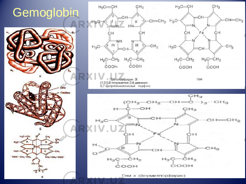 34Gemoglobin 