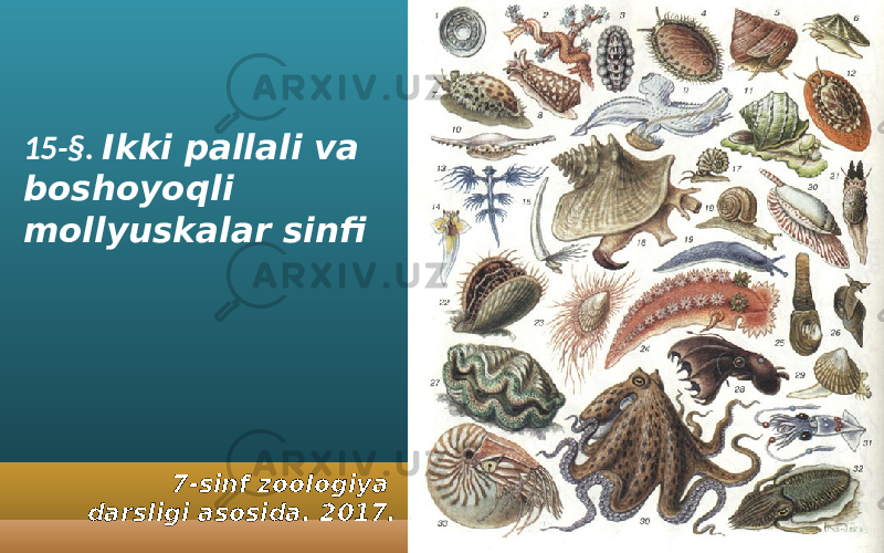 15-§. Ikki pallali va boshoyoqli mollyuskalar sinfi 7-sinf zoologiya darsligi asosida. 2017. 