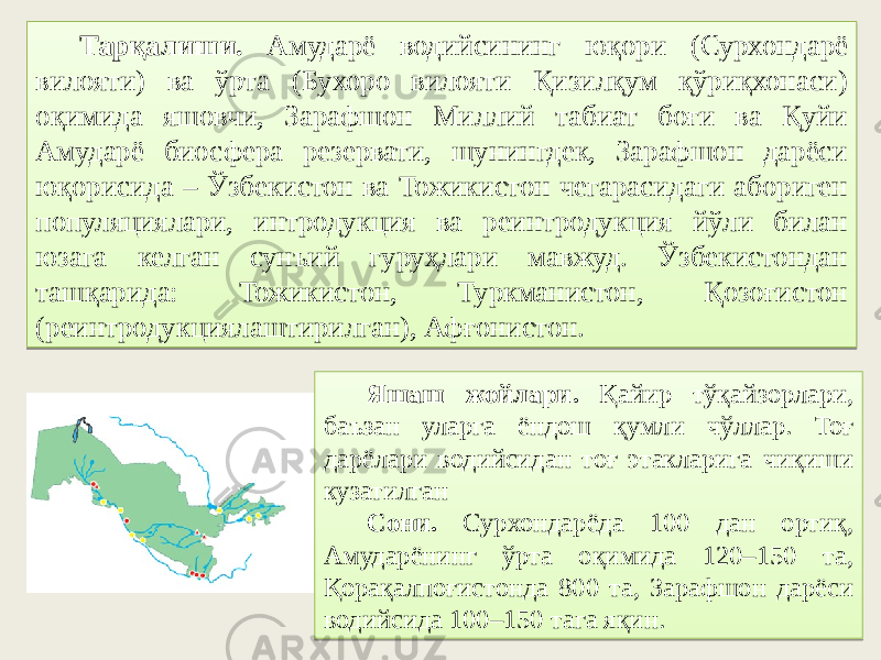 Тарқалиши. Амударё водийсининг юқори (Сурхондарё вилояти) ва ўрта (Бухоро вилояти Қизилқум қўриқхонаси) оқимида яшовчи, Зарафшон Миллий табиат боғи ва Қуйи Амударё биосфера резервати, шунингдек, Зарафшон дарёси юқорисида – Ўзбекистон ва Тожикистон чегарасидаги абориген популяциялари, интродукция ва реинтродукция йўли билан юзага келган сунъий гуруҳлари мавжуд. Ўзбекистондан ташқарида: Тожикистон, Туркманистон, Қозоғистон (реинтродукциялаштирилган), Афғонистон. Яшаш жойлари. Қайир тўқайзорлари, баъзан уларга ёндош қумли чўллар. Тоғ дарёлари водийсидан тоғ этакларига чиқиши кузатилган Сони. Сурхондарёда 100 дан ортиқ, Амударёнинг ўрта оқимида 120–150 та, Қорақалпоғистонда 800 та, Зарафшон дарёси водийсида 100–150 тага яқин.03 51 44 17 51 4E 49 4E 18 03113E 22 08 4710 4C10 16 01 4B 51 08 44 