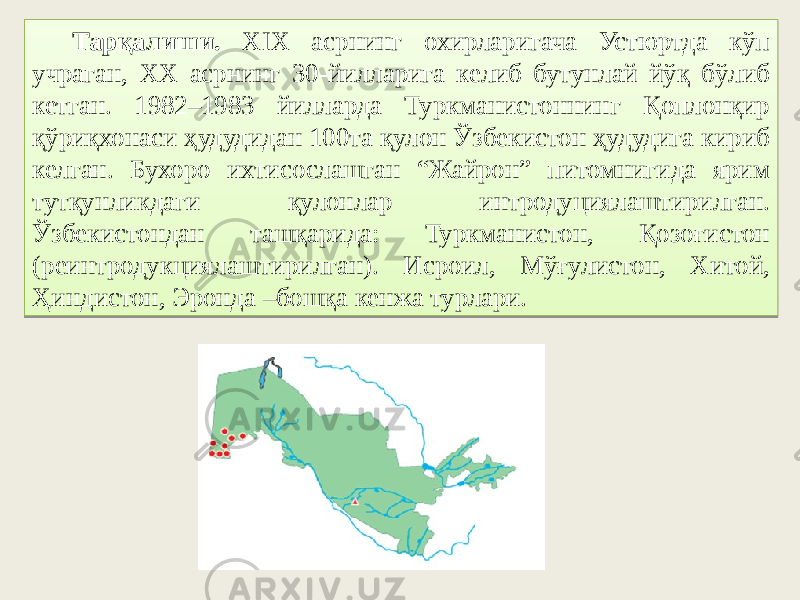 Тарқалиши. XIX асрнинг охирларигача Устюртда кўп учраган, XX асрнинг 30-йилларига келиб бутунлай йўқ бўлиб кетган. 1982–1983 йилларда Туркманистоннинг Қоплонқир қўриқхонаси ҳудудидан 100та қулон Ўзбекистон ҳудудига кириб келган. Бухоро ихтисослашган “Жайрон” питомнигида ярим тутқунликдаги қулонлар интродуциялаштирилган. Ўзбекистондан ташқарида: Туркманистон, Қозоғистон (реинтродукциялаштирилган). Исроил, Мўғулистон, Хитой, Ҳиндистон, Эронда –бошқа кенжа турлари.03 58 40 16 3A 16 18 4F3C47 03113E 6E 