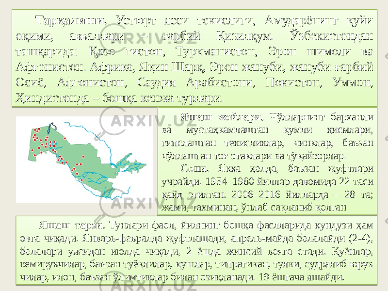 Тарқалиши. Устюрт ясси текислиги, Амударёнинг қуйи оқими, авваллари – ғарбий Қизилқум. Ўзбекистондан ташқарида: Қозо ғистон, Туркманистон, Эрон шимоли ва Афғонистон. Африка, Яқин Шарқ, Эрон жануби, жануби-ғарбий Осиё, Афғонистон, Саудия Арабистони, Покистон, Уммон, Ҳиндистонда – бошқа кенжа турлари. Яшаш жойлари. Чўлларнинг барханли ва мустаҳкамлашган қумли қисмлари, гипслашган текисликлар, чинклар, баъзан чўллашган тоғ этаклари ва тўқайзорлар. Сони. Якка ҳолда, баъзан жуфтлари учрайди. 1954–1980 йиллар давомида 22 таси қайд этилган. 2006–2016 йилларда – 28 та; жами, тахминан, ўнлаб сақланиб қолган Яшаш тарзи. Тунлари фаол, йилнинг бошқа фаслларида кундузи ҳам овга чиқади. Январь-февралда жуфтлашади, апрель-майда болалайди (2-4), болалари уясидан июлда чиқади, 2 ёшда жинсий вояга етади. Қуёнлар, кемирувчилар, баъзан туёқлилар, қушлар, типратикан, тулки, судралиб юрув чилар, илон, баъзан ўлимтиклар билан озиқланади. 19 ёшгача яшайди.03 09 17 18 51 46 6E 22 61 44 38 41 01 53 40 3A10 3F10 22 48 1744 47 16 41 