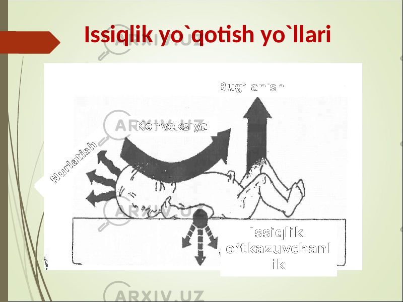 Issiqlik yo`qotish yo`llari B ug’lanishB ug’lanish KonveksiyaKonveksiya Issiqlik o’tkazuvchanl ikIssiqlik o’tkazuvchanl ikN u rla tish N u rla tish 