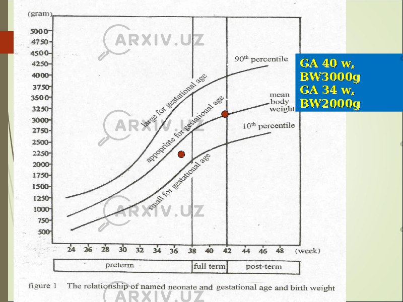 GA 40 w, GA 40 w, BW3000gBW3000g GA 34 w, GA 34 w, BW2000gBW2000g 