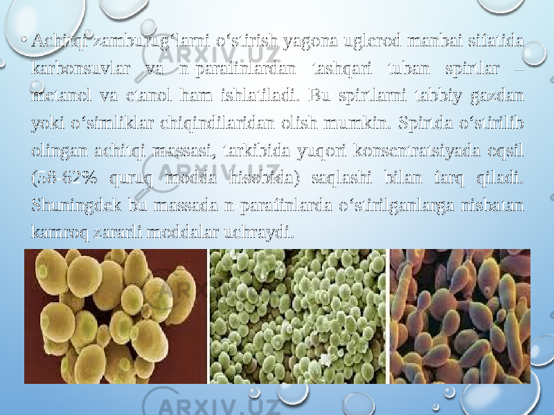 • Achitqi zamburug‘larni o‘stirish yagona uglerod manbai sifatida karbonsuvlar va n-parafinlardan tashqari tuban spirtlar – metanol va etanol ham ishlatiladi. Bu spirtlarni tabbiy gazdan yoki o‘simliklar chiqindilaridan olish mumkin. Spirtda o‘stirilib olingan achitqi massasi, tarkibida yuqori konsentratsiyada oqsil (58-62% quruq modda hisobida) saqlashi bilan farq qiladi. Shuningdek bu massada n-parafinlarda o‘stirilganlarga nisbatan kamroq zararli moddalar uchraydi. 