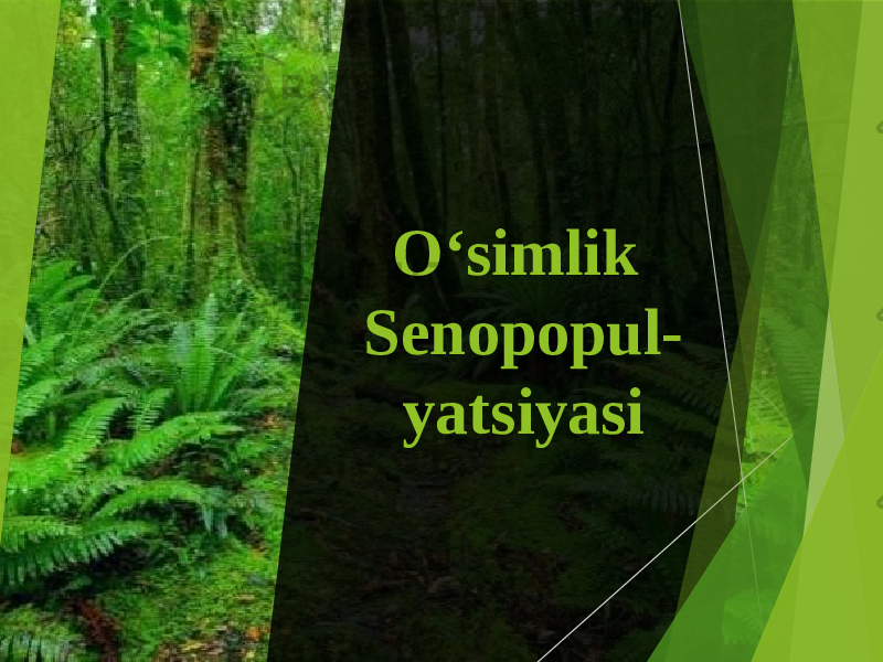 O‘simlik Senopopul- yatsiyasi 