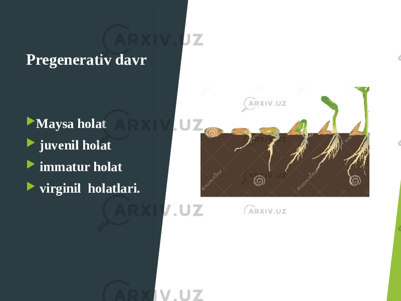 Pregenerativ davr  Maysa holat  juvenil holat  immatur holat  virginil holatlari. 