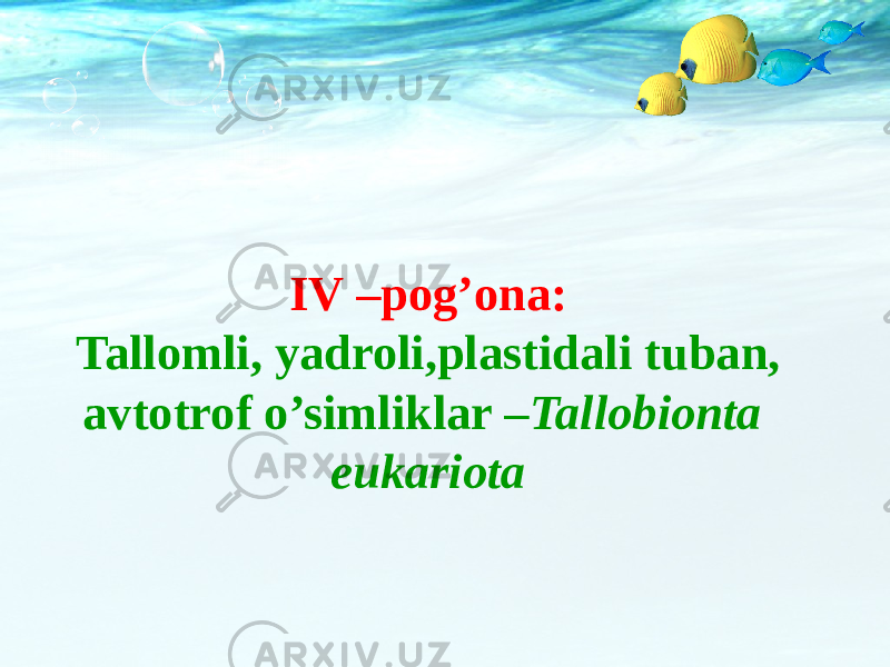 IV –pog’ona: Tallomli, yadroli,plastidali tuban, avtotrof o’simliklar – Tallobionta eukariota 