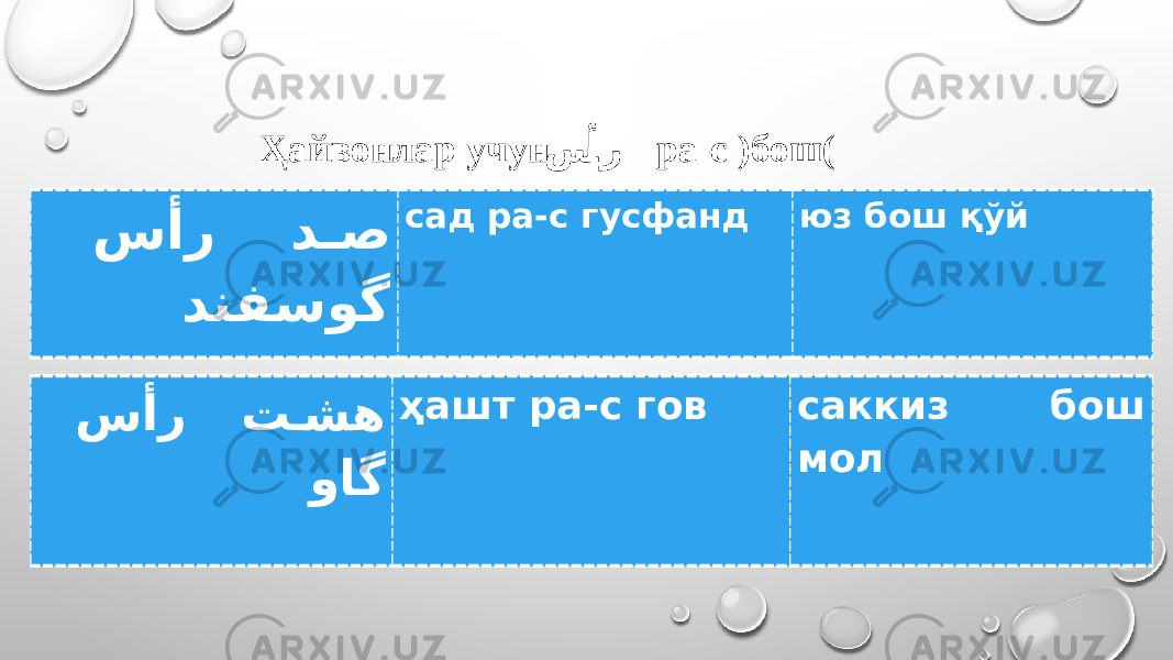 Ҳайвонлар учун س�أر ра-с )бош( سأر د � ص دنفسوگ сад ра-с гусфанд юз бош қўй سأر ت �شه واگ ҳашт ра-с гов саккиз бош мол 