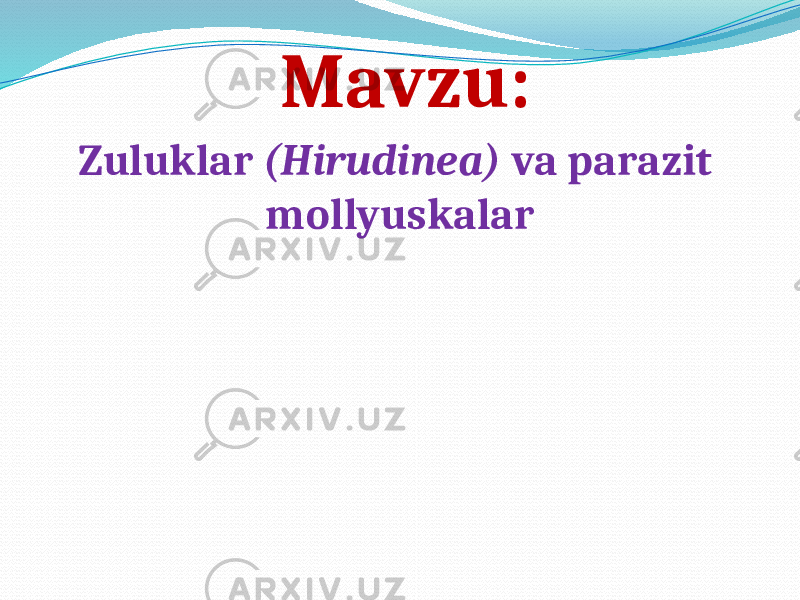 Mavzu: Zuluklar (Hirudinea) va parazit mollyuskalar 