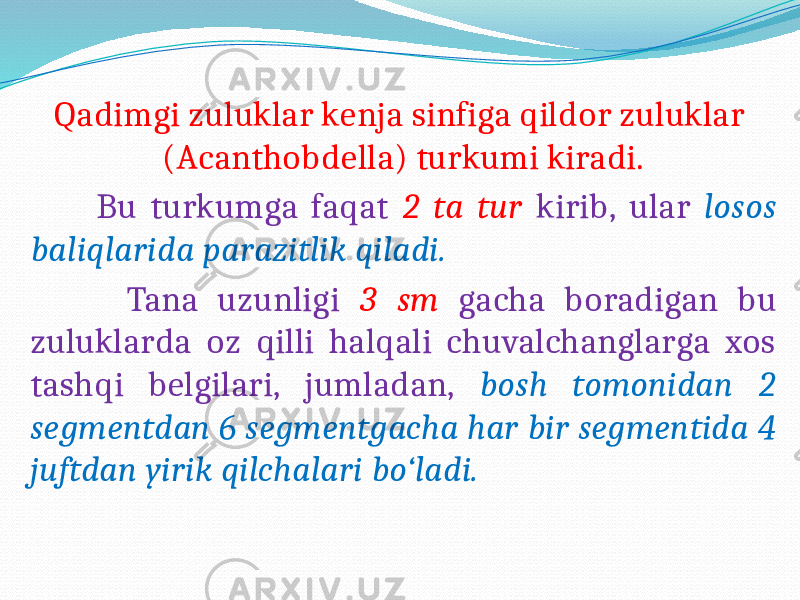  Qadimgi zuluklar kenja sinfiga qildor zuluklar (Acanthobdella) turkumi kiradi. Bu turkumga faqat 2 ta tur kirib, ular losos baliqlarida parazitlik qiladi. Tana uzunligi 3 sm gacha boradigan bu zuluklarda oz qilli halqali chuvalchanglarga xos tashqi belgilari, jumladan, bosh tomonidan 2 segmentdan 6 segmentgacha har bir segmentida 4 juftdan yirik qilchalari bo‘ladi. 