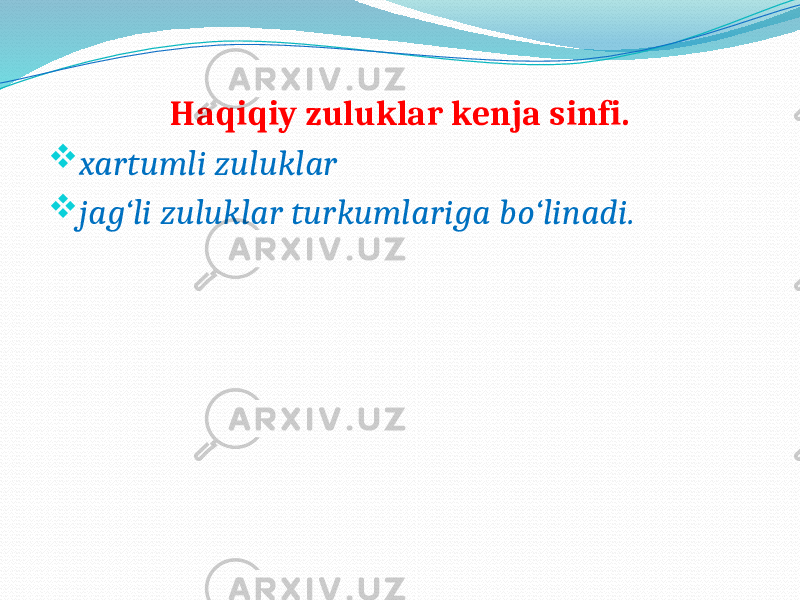 Haqiqiy zuluklar kenja sinfi.  xartumli zuluklar  jag‘li zuluklar turkumlariga bo‘linadi. 