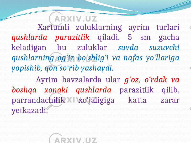  Xartumli zuluklarning ayrim turlari qushlarda parazitlik qiladi. 5 sm gacha keladigan bu zuluklar suvda suzuvchi qushlarning og‘iz bo‘shlig‘i va nafas yo‘llariga yopishib, qon so‘rib yashaydi. Ayrim havzalarda ular g‘oz, o‘rdak va boshqa xonaki qushlarda parazitlik qilib, parrandachilik xo‘jaligiga katta zarar yetkazadi. 