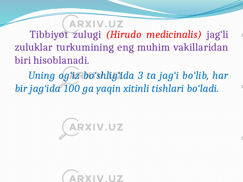  Tibbiyot zulugi (Hirudo medicinalis) jag‘li zuluklar turkumining eng muhim vakillaridan biri hisoblanadi. Uning og‘iz bo‘shlig‘ida 3 ta jag‘i bo‘lib, har bir jag‘ida 100 ga yaqin xitinli tishlari bo‘ladi. 