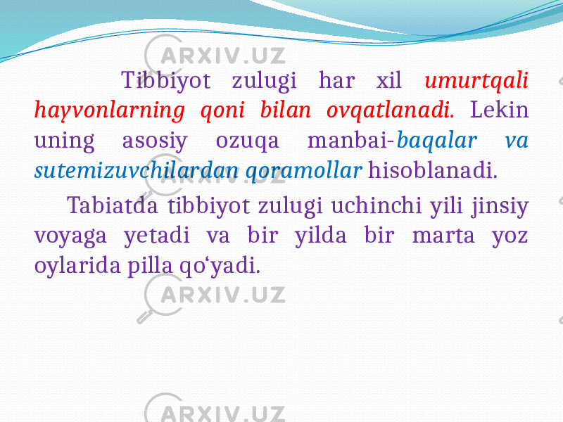  Tibbiyot zulugi har xil umurtqali hayvonlarning qoni bilan ovqatlanadi. Lekin uning asosiy ozuqa manbai- baqalar va sutemizuvchilardan qoramollar hisoblanadi. Tabiatda tibbiyot zulugi uchinchi yili jinsiy voyaga yetadi va bir yilda bir marta yoz oylarida pilla qo‘yadi. 