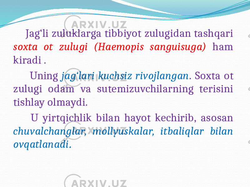  Jag‘li zuluklarga tibbiyot zulugidan tashqari soxta ot zulugi (Haemopis sanguisuga) ham kiradi . Uning jag‘lari kuchsiz rivojlangan . Soxta ot zulugi odam va sutemizuvchilarning terisini tishlay olmaydi. U yirtqichlik bilan hayot kechirib, asosan chuvalchanglar, mollyuskalar, itbaliqlar bilan ovqatlanadi . 