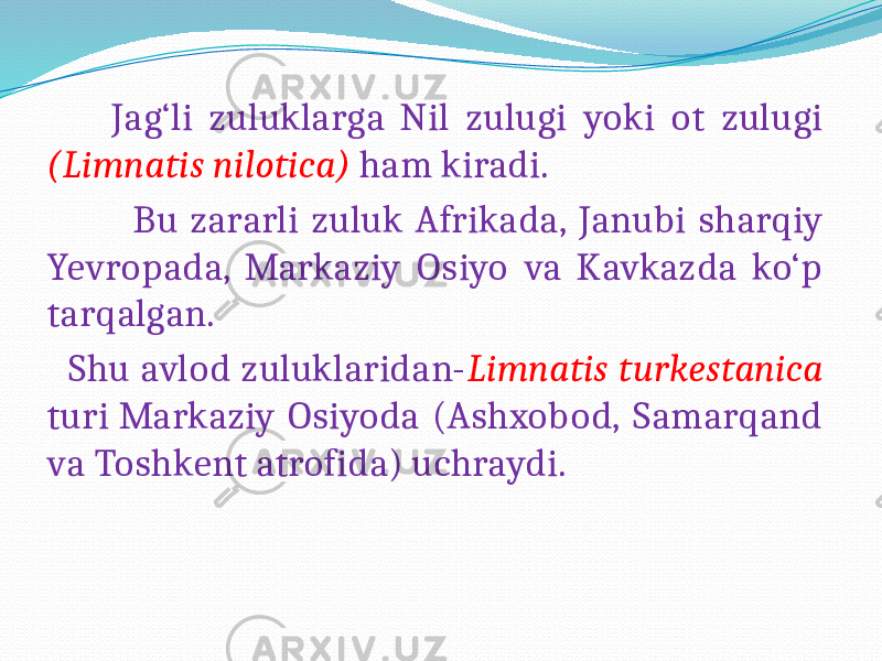  Jag‘li zuluklarga Nil zulugi yoki ot zulugi (Limnatis nilotica) ham kiradi. Bu zararli zuluk Afrikada, Janubi sharqiy Yevropada, Markaziy Osiyo va Kavkazda ko‘p tarqalgan. Shu avlod zuluklaridan- Limnatis turkestanica turi Markaziy Osiyoda (Ashxobod, Samarqand va Toshkent atrofida) uchraydi. 