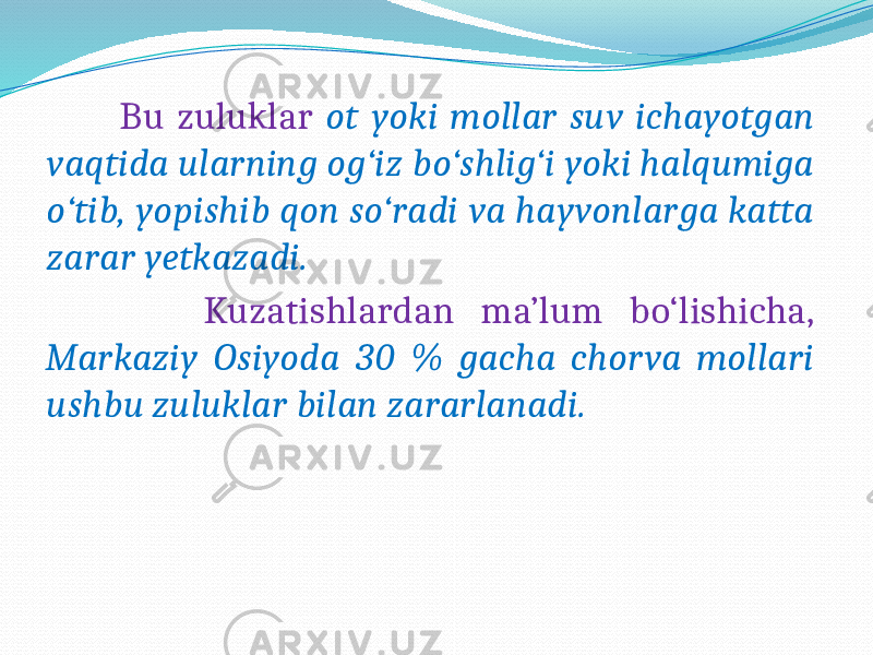  Bu zuluklar ot yoki mollar suv ichayotgan vaqtida ularning og‘iz bo‘shlig‘i yoki halqumiga o‘tib, yopishib qon so‘radi va hayvonlarga katta zarar yetkazadi. Kuzatishlardan ma’lum bo‘lishicha, Markaziy Osiyoda 30 % gacha chorva mollari ushbu zuluklar bilan zararlanadi. 