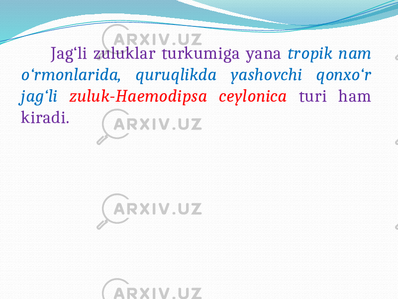  Jag‘li zuluklar turkumiga yana tropik nam o‘rmonlarida, quruqlikda yashovchi qonxo‘r jag‘li zuluk - Haemodipsa ceylonica turi ham kiradi. 