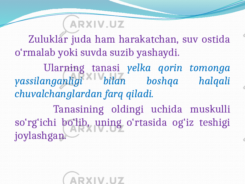  Zuluklar juda ham harakatchan, suv ostida o‘rmalab yoki suvda suzib yashaydi. Ularning tanasi yelka qorin tomonga yassilanganligi bilan boshqa halqali chuvalchanglardan farq qiladi. Tanasining oldingi uchida muskulli so‘rg‘ichi bo‘lib, uning o‘rtasida og‘iz teshigi joylashgan. 