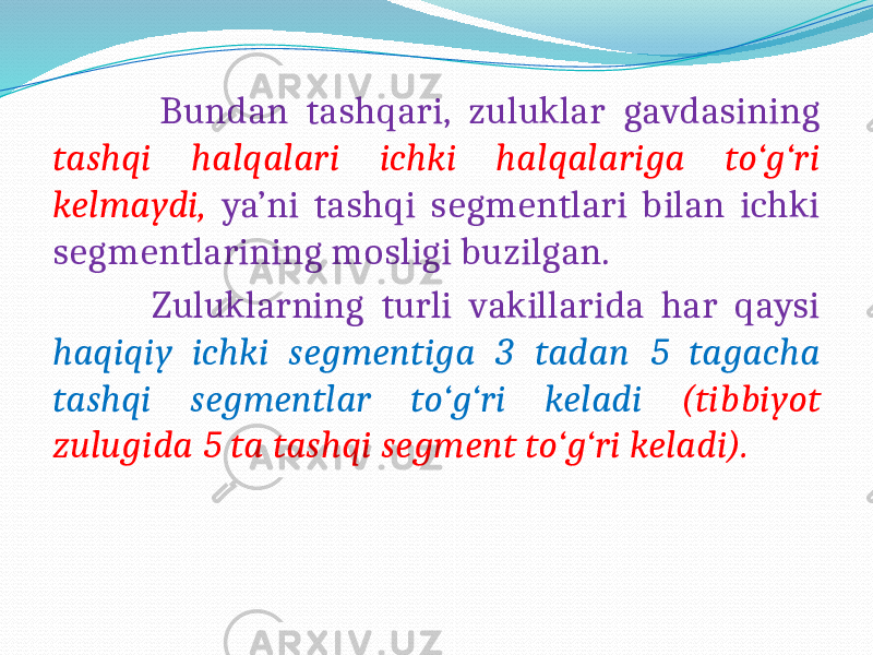  Bundan tashqari, zuluklar gavdasining tashqi halqalari ichki halqalariga to‘g‘ri kelmaydi, ya’ni tashqi segmentlari bilan ichki segmentlarining mosligi buzilgan. Zuluklarning turli vakillarida har qaysi haqiqiy ichki segmentiga 3 tadan 5 tagacha tashqi segmentlar to‘g‘ri keladi (tibbiyot zulugida 5 ta tashqi segment to‘g‘ri keladi). 