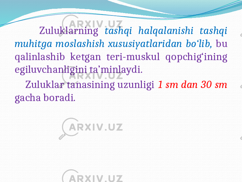  Zuluklarning tashqi halqalanishi tashqi muhitga moslashish xususiyatlaridan bo‘lib, bu qalinlashib ketgan teri-muskul qopchig‘ining egiluvchanligini ta’minlaydi. Zuluklar tanasining uzunligi 1 sm dan 30 sm gacha boradi. 