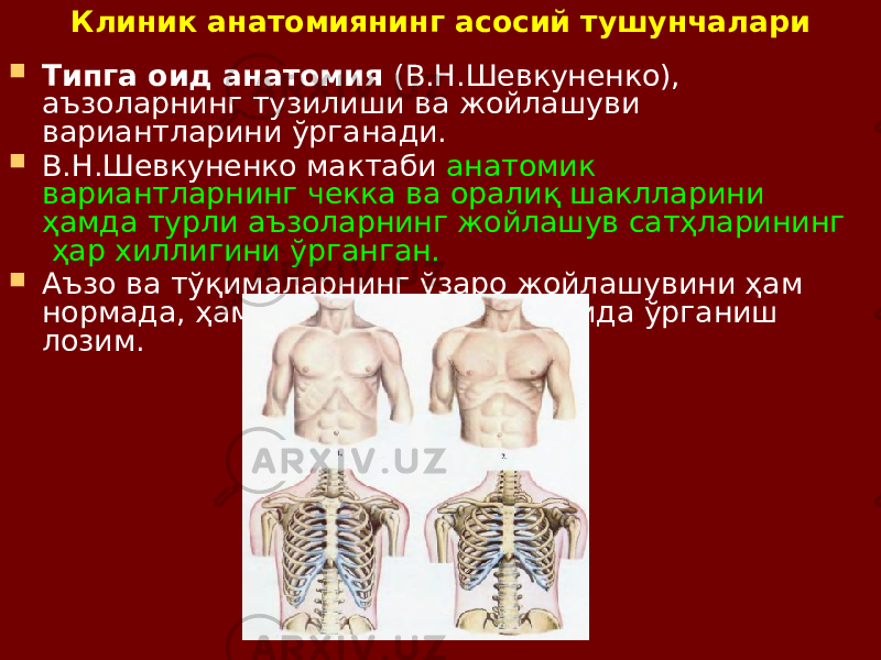 Клиник анатомиянинг асосий тушунчалари  Типга оид анатомия (В.Н.Шевкуненко), аъзоларнинг тузилиши ва жойлашуви вариантларини ўрганади.  В.Н.Шевкуненко мактаби анатомик вариантларнинг чекка ва оралиқ шаклларини ҳамда турли аъзоларнинг жойлашув сатҳларининг ҳар хиллигини ўрганган.  Аъзо ва тўқималарнинг ўзаро жойлашувини ҳам нормада, ҳам патология ҳолатларида ўрганиш лозим. 