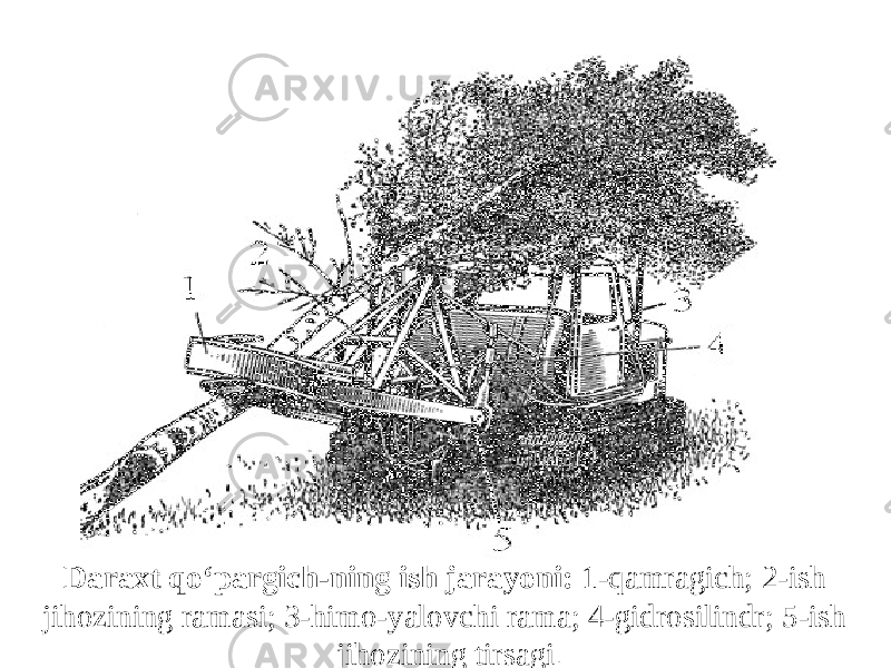 Dаrахt qo‘pаrgich-ning ish jаrаyoni: 1-qаmrаgich; 2-ish jihоzining rаmаsi; 3-himо-yalоvchi rаmа; 4-gidrоsilindr; 5-ish jihоzining tirsаgi . 