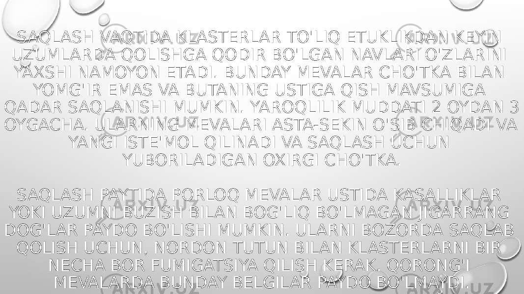 SAQLASH VAQTIDA KLASTERLAR TO&#39;LIQ ETUKLIKDAN KEYIN UZUMLARDA QOLISHGA QODIR BO&#39;LGAN NAVLARI O&#39;ZLARINI YAXSHI NAMOYON ETADI. BUNDAY MEVALAR CHO&#39;TKA BILAN YOMG&#39;IR EMAS VA BUTANING USTIGA QISH MAVSUMIGA QADAR SAQLANISHI MUMKIN. YAROQLILIK MUDDATI 2 OYDAN 3 OYGACHA. ULARNING MEVALARI ASTA-SEKIN O&#39;SIB CHIQADI VA YANGI ISTE&#39;MOL QILINADI VA SAQLASH UCHUN YUBORILADIGAN OXIRGI CHO&#39;TKA. SAQLASH PAYTIDA PORLOQ MEVALAR USTIDA KASALLIKLAR YOKI UZUMNI BUZISH BILAN BOG&#39;LIQ BO&#39;LMAGAN JIGARRANG DOG&#39;LAR PAYDO BO&#39;LISHI MUMKIN. ULARNI BOZORDA SAQLAB QOLISH UCHUN, NORDON TUTUN BILAN KLASTERLARNI BIR NECHA BOR FUMIGATSIYA QILISH KERAK. QORONG&#39;I MEVALARDA BUNDAY BELGILAR PAYDO BO&#39;LMAYDI. 