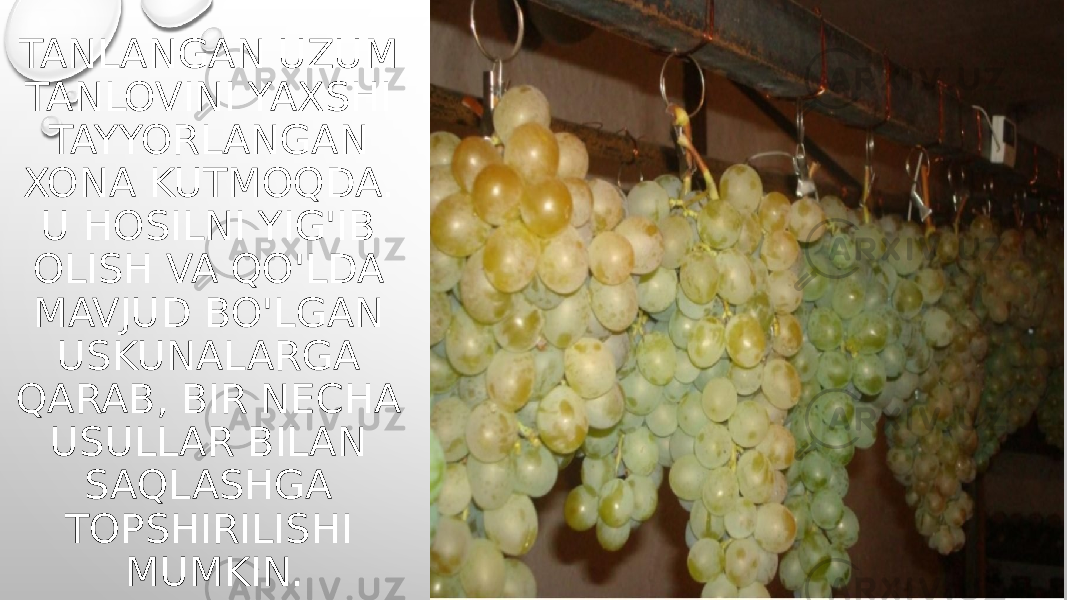 TANLANGAN UZUM TANLOVINI YAXSHI TAYYORLANGAN XONA KUTMOQDA. U HOSILNI YIG&#39;IB OLISH VA QO&#39;LDA MAVJUD BO&#39;LGAN USKUNALARGA QARAB, BIR NECHA USULLAR BILAN SAQLASHGA TOPSHIRILISHI MUMKIN. 