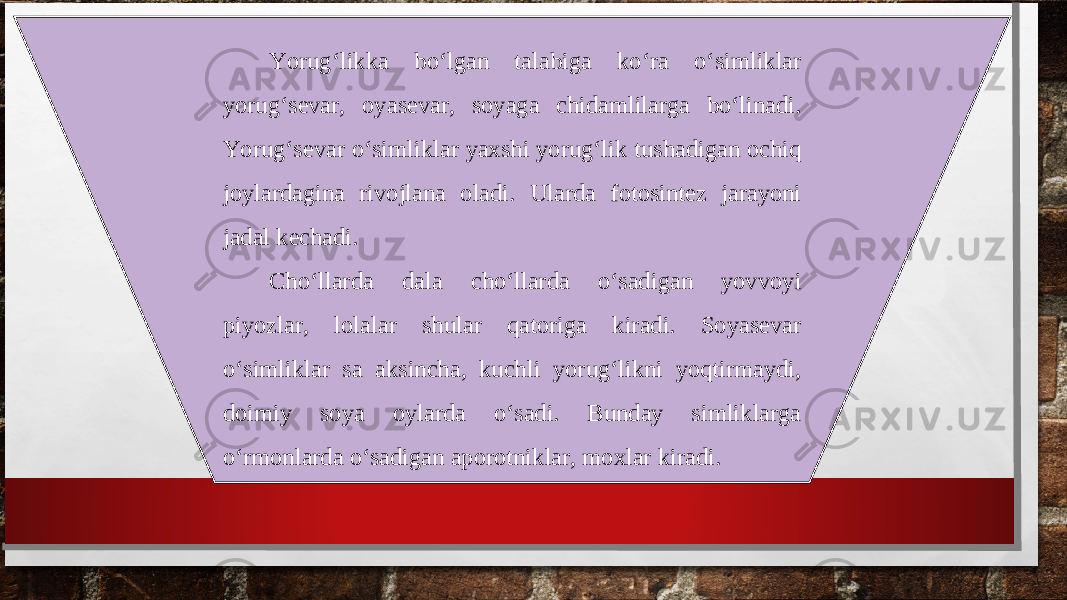 Yorug‘likka bo‘lgan talabiga ko‘ra o‘simliklar yorug‘sevar, oyasevar, soyaga chidamlilarga bo‘linadi. Yorug‘sevar o‘simliklar yaxshi yorug‘lik tushadigan ochiq joylardagina rivojlana oladi. Ularda fotosintez jarayoni jadal kechadi. Cho‘llarda dala cho‘llarda o‘sadigan yovvoyi piyozlar, lolalar shular qatoriga kiradi. Soyasevar o‘simliklar sa aksincha, kuchli yorug‘likni yoqtirmaydi, doimiy soya oylarda o‘sadi. Bunday simliklarga o‘rmonlarda o‘sadigan aporotniklar, moxlar kiradi. 