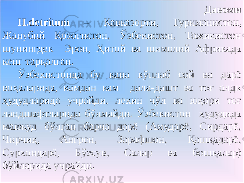 Давоми H.detritum – Кавказорти, Туркманистон, Жанубий Қозоғистон, Ўзбекистон, Тожикистон шунингдек Эрон, Ҳитой ва шимолий Африкада кенг тарқалган. Ўзбекистонда бу кана кўплаб сой ва дарё воҳаларида, камдан кам дала-дашт ва тоғ олди ҳудудларида учрайди, лекин чўл ва юқори тоғ ландшафтларида бўлмайди. Ўзбекистон ҳудудида мавжуд бўлган барча дарё (Амударё, Сирдарё, Чирчиқ, Ангрен, Зарафшон, Қашқадарё, Сурхондарё, Бўзсув, Салар ва бошқалар) бўйларида учрайди. 