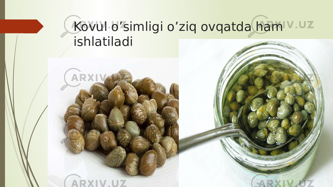 Kovul o’simligi o’ziq ovqatda ham ishlatiladi 