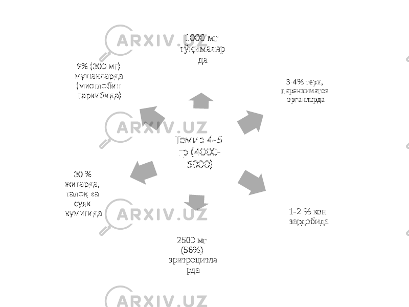 Темир 4-5 гр (4000- 5000)1000 мг тўқималар да 3-4% тери, паренхиматоз органларда 1-2 % кон зардобида 2500 мг (56%) эритроцитла рда30 % жигарда, талоқ ва суяк кумигида 9% (300 мг) мушакларда (миоглобин таркибида) 