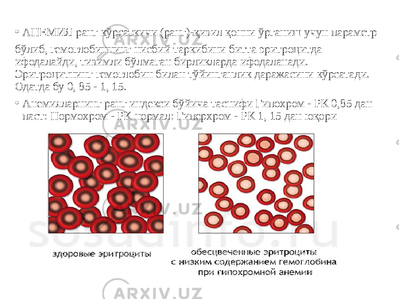 • АНЕМИЯ ранг кўрсаткичи (ранг)-қизил қонни ўрганиш учун параметр бўлиб, гемоглобиннинг нисбий таркибини битта эритроцитда ифодалайди, тизимли бўлмаган бирликларда ифодаланади. Эритроцитнинг гемоглобин билан тўйинганлик даражасини кўрсатади. Одатда бу 0, 85 - 1, 15. • Анемияларнинг ранг индекси бўйича таснифи Гипохром - РК 0,85 дан паст: Нормохром - РК нормал: Гиперхром - РК 1, 15 дан юқори 