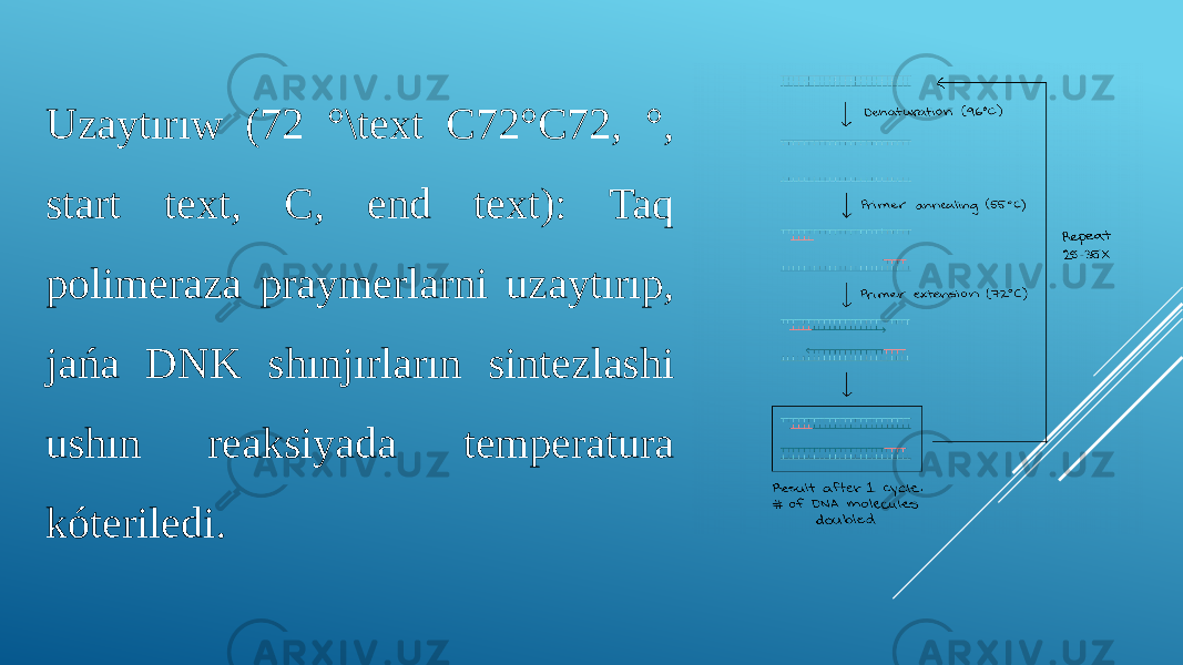 Uzaytırıw (72 °\text C72°C72, °, start text, C, end text): Taq polimeraza praymerlarni uzaytırıp, jańa DNK shınjırların sintezlashi ushın reaksiyada temperatura kóteriledi. 