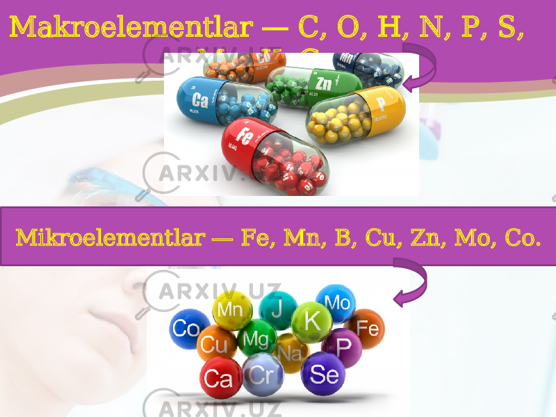 Mikroelementlar — Fe, Mn, B, Cu, Zn, Mo, Co.Makroelementlar — C, O, H, N, P, S, Mg, K, Ca; 