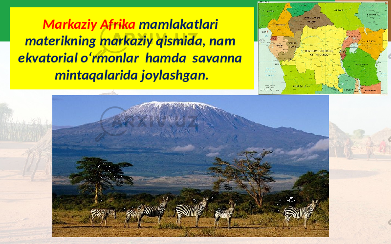 Markaziy Afrika mamlakatlari materikning markaziy qismida, nam ekvatorial o‘rmonlar hamda savanna mintaqalarida joylashgan. 
