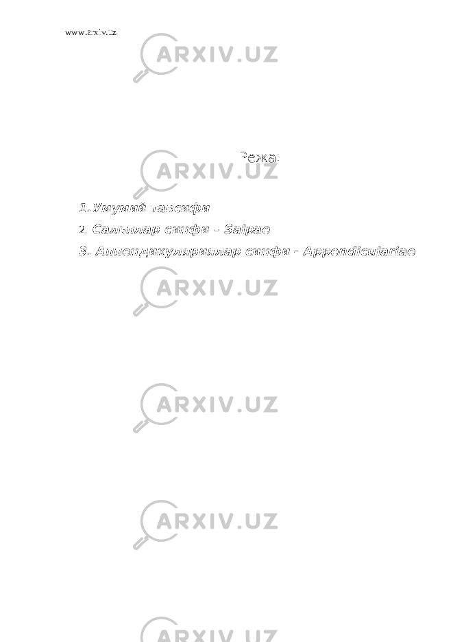 www.arxiv.uz Режа: 1. Умумий тавсифи 2. Сальплар синфи – Salpae 3. Аппендикуляриялар синфи - Appendiculariae 