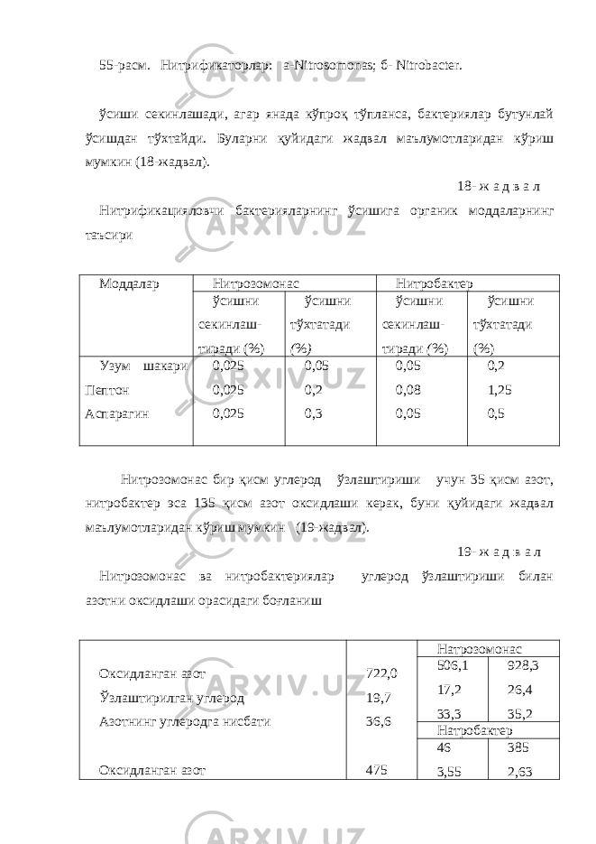 55-расм . Нитрификаторлар: а-Nitrosomonas; б- Nitrobacter. ўсиши секинлашади, агар янада кўпроқ тўпланса, бактериялар бутунлай ўсишдан тўхтайди. Буларни қуйидаги жадвал маълумотларидан кўриш мумкин (18-жадвал). 18- ж а д в а л Нитрифика ци яловчи бактер ия лар н инг ўси ш ига орга ник мод д аларни н г таъсири Моддалар Нитрозомонас Нитробактер ўсишни секинлаш - тиради (%) ўсишни тўхтатади ( % ) ўсишни секинлаш - тиради ( %) ўсишни тўхтатади (%) Узум шакари Пепто н Аспараги н 0,025 0,025 0,025 0,05 0,2 0,3 0,05 0,08 0,05 0,2 1,25 0,5 Нитрозомо н ас бир қисм углерод ўзлаштириши учун 35 қисм азот, нитробактер эса 135 қисм азот оксидлаши керак, буни қуйидаги жадвал маълумотлар и дан кўриш мумкин (19-жадвал). 19 - ж а д в а л Нитрозомо н ас ва нитроба к териялар углерод ўзлаштириши билан азотни оксидла ш и орасидаги боғланиш Оксидланга н азот Ўзлаштирилган углерод Азотнинг углеродга нисбати Оксидланга н азот 722,0 19,7 36,6 475 Натрозомонас 506,1 17,2 33,3 928,3 26,4 35,2 Натробактер 46 3,55 385 2,63 