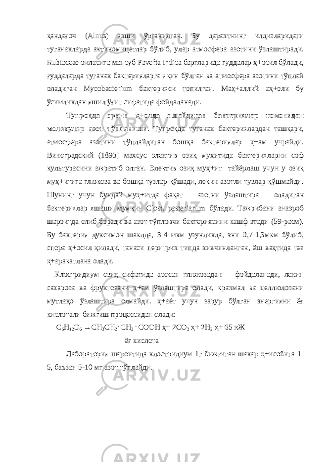 қандағоч (Аlnus) яхши ўрганилган. Бу дарахтнинг илдизларидаги туганакларда актиномицетлар бўлиб, улар атмосфера азотини ўзлаштиради. Rubiaceae оиласига мансуб Pavefta indica баргларида ғуддалар ҳ+осил бўлади, ғуддаларда туганак бактерияларга яқин бўлган ва атмосфера азотини тўплай оладиган Mycobacterium бактерияси топилган. Маҳ+аллий аҳ+оли бу ўсимликдан яшил ўғит сифатида фойдаланади. Тупроқда эркин ҳ+олда яшайдиган бактериялар томонидан молекуляр азот тўпланиши . Тупроқда туганак бактериялардан ташқари, атмосфера азотини тўплайдиган бошқа бактериялар ҳ+ам учрайди. Виноградский (1893) махсус электив озиқ мухитида бактерияларни соф культурасини ажратиб олган. Электив озиқ муҳ+ит тайёрлаш учун у озиқ муҳ+итига глюкоза ва бошқа тузлар қўшади, лекин азотли тузлар қўшмайди. Шунинг учун бундай муҳ+итда фақат азотни ўзлаштира оладиган бактериялар яшаши мумкин Clost. pasterianum бўлади. Тажрибани анаэроб шароитда олиб боради ва азот тўпловчи бактериясини кашф этади ( 59-расм). Бу бактерия дуксимон шаклда, 3-4 мкм узунликда, эни 0,7-1,3мкм бўлиб, спора ҳ+осил қилади, танаси перитрих типда хивчинланган, ёш вақтида тез ҳ+аракатлана олади. Клостридиум озиқ сифатида асосан глюкозадан фойдаланади, лекин сахароза ва фруктозани ҳ+ам ўзлаштира олади, крахмал ва целлюлозани мутлақо ўзлаштира олмайди. ҳ+аёт учун зарур бўлган энергияни ёғ кислотали бижғиш процессидан олади: С 6 Н 12 О 6 →СН 3 СН 2 . СН 2 . СООН ҳ+ 2СО 2 ҳ+ 2Н 2 ҳ+ 65 к Ж ёғ кислота Лаборатория шароитида клостридиум 1г бижғиган шакар ҳ+исобига 1- 5, баъзан 5-10 мг азот тўплайди. 