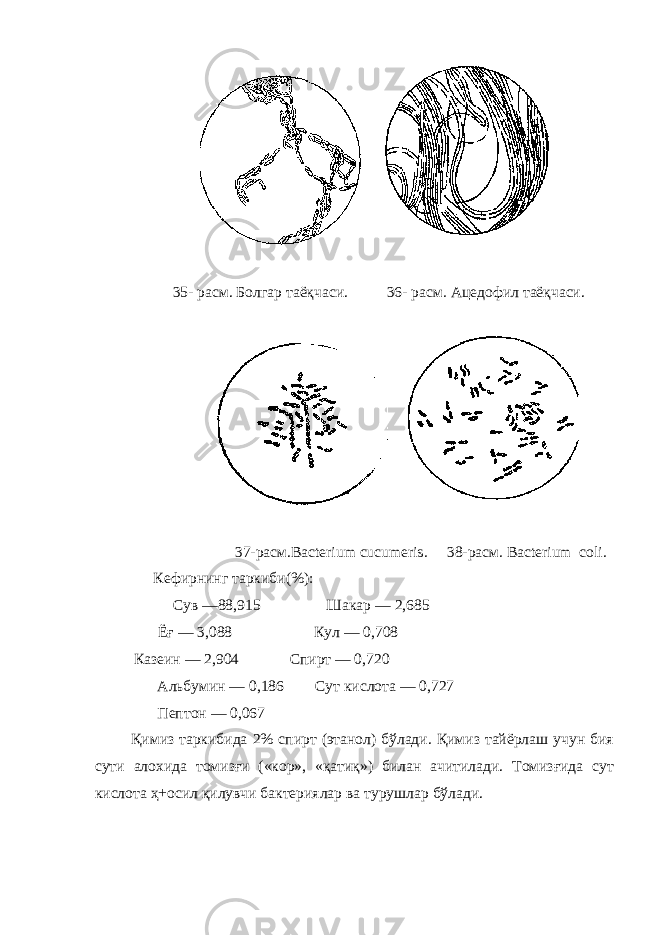  35- расм. Б олгар таёқчаси. 36 - расм . Ацедофил таёқчаси. 37-расм.Bacterium cucumeris . 38 -расм . Bacterium coli . Кефирнинг таркиби(%): Сув —88,915 Шакар — 2,685 Ё ғ — 3,088 Кул — 0,708 Казеи н — 2,904 Спирт — 0,720 Альбумин — 0,186 Сут кислота — 0,727 Пептон — 0,067 Қимиз таркибида 2% спирт (этанол) бўлади. Қимиз тайёрлаш учун бия сути алохида томизғи («кор», «қатиқ») билан ачитилади. Томизғида сут кислота ҳ+осил қилувчи бактериялар ва турушлар бўлади. 