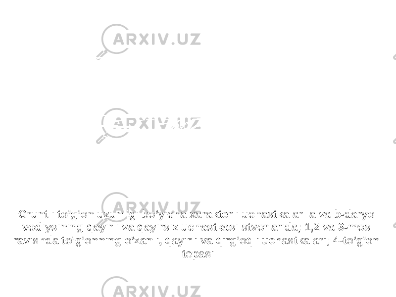 Gruntli to’g’on uzunligi bo’yicha xarakterli uchastkalar: a va b-daryo vodiysining qayirli va qayirsiz uchastkasi stvorlarida; 1,2 va 3-mos ravishda to’g’onning o’zanli, qayirli va qirg’oqli uchastkalari; 4-to’g’on tepasi 