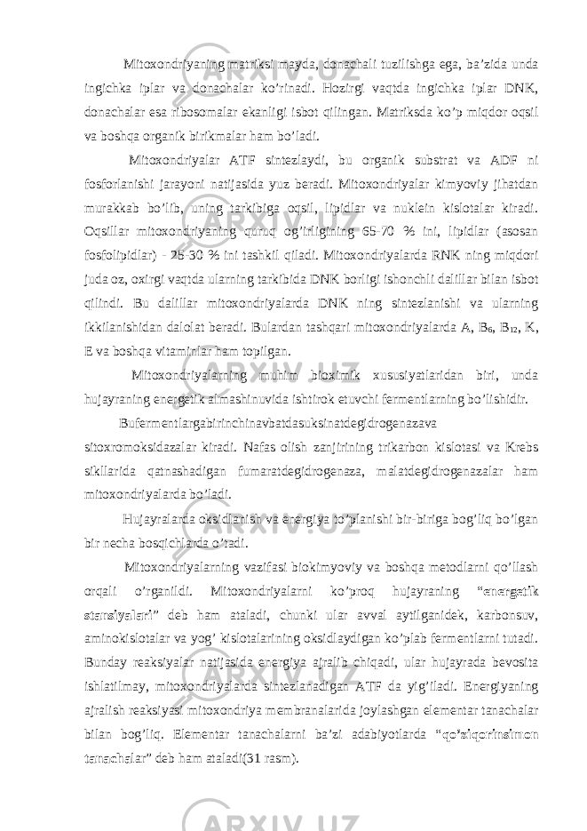  Mitoxondriyaning matriksi mayda, donachali tuzilishga ega, ba’zida unda ingichka iplar va donachalar ko’rinadi. Hozirgi vaqtda ingichka iplar DNK, donachalar esa ribosomalar ekanligi isbot qilingan. Matriksda ko’p miqdor oqsil va boshqa organik birikmalar ham bo’ladi. Mitoxondriyalar ATF sintezlaydi, bu organik substrat va ADF ni fosforlanishi jarayoni natijasida yuz beradi. Mitoxondriyalar kimyoviy jihatdan murakkab bo’lib, uning tarkibiga oqsil, lipidlar va nuklein kislotalar kiradi. Oqsillar mitoxondriyaning quruq og’irligining 65-70 % ini, lipidlar (asosan fosfolipidlar) - 25-30 % ini tashkil qiladi. Mitoxondriyalarda RNK ning miqdori juda oz, oxirgi vaqtda ularning tarkibida DNK borligi ishonchli dalillar bilan isbot qilindi. Bu dalillar mitoxondriyalarda DNK ning sintezlanishi va ularning ikkilanishidan dalolat beradi. Bulardan tashqari mitoxondriyalarda A, В 6 , В 12 , K, Е va boshqa vitaminlar ham topilgan. Mitoxondriyalarning muhim bioximik xususiyatlaridan biri, unda hujayraning energetik almashinuvida ishtirok etuvchi fermentlarning bo’lishidir. Bufermentlargabirinchinavbatdasuksinatdegidrogenazava sitoxromoksidazalar kiradi. Nafas olish zanjirining trikarbon kislotasi va Krebs sikllarida qatnashadigan fumaratdegidrogenaza, malatdegidrogenazalar ham mitoxondriyalarda bo’ladi. Hujayralarda oksidlanish va energiya to’planishi bir-biriga bog’liq bo’lgan bir necha bosqichlarda o’tadi. Mitoxondriyalarning vazifasi biokimyoviy va boshqa metodlarni qo’llash orqali o’rganildi. Mitoxondriyalarni ko’proq hujayraning “ energetik stansiyalari ” deb ham ataladi, chunki ular avval aytilganidek, karbonsuv, aminokislotalar va yog’ kislotalarining oksidlaydigan ko’plab fermentlarni tutadi. Bunday reaksiyalar natijasida energiya ajralib chiqadi, ular hujayrada bevosita ishlatilmay, mitoxondriyalarda sintezlanadigan ATF da yig’iladi. Energiyaning ajralish reaksiyasi mitoxondriya membranalarida joylashgan elementar tanachalar bilan bog’liq. Elementar tanachalarni ba’zi adabiyotlarda “ qo’ziqorinsimon tanacha lar” deb ham ataladi(31 rasm). 