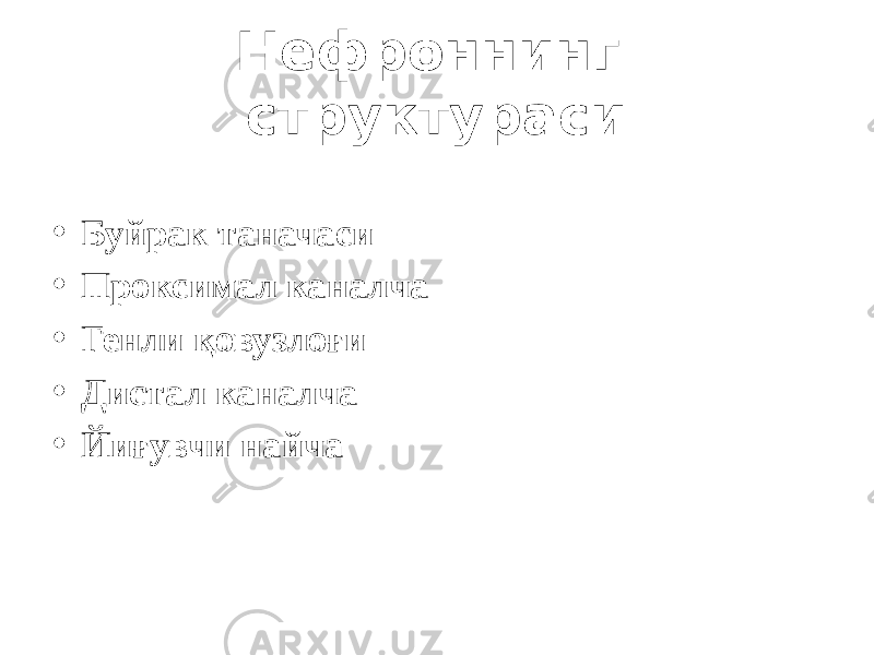 Нефроннинг структураси • Буйрак таначаси • Проксимал каналча • Генли қовузлоғи • Дистал каналча • Йиғувчи найча 