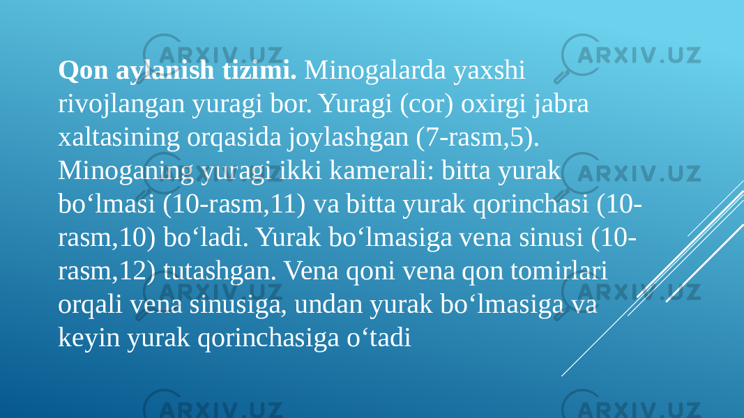 Qon aylanish tizimi. Minogalarda yaxshi rivojlangan yuragi bor. Yuragi (cor) oxirgi jabra xaltasining orqasida joylashgan (7-rasm,5). Minoganing yuragi ikki kamerali: bitta yurak bo‘lmasi (10-rasm,11) va bitta yurak qorinchasi (10- rasm,10) bo‘ladi. Yurak bo‘lmasiga vena sinusi (10- rasm,12) tutashgan. Vena qoni vena qon tomirlari orqali vena sinusiga, undan yurak bo‘lmasiga va keyin yurak qorinchasiga o‘tadi 