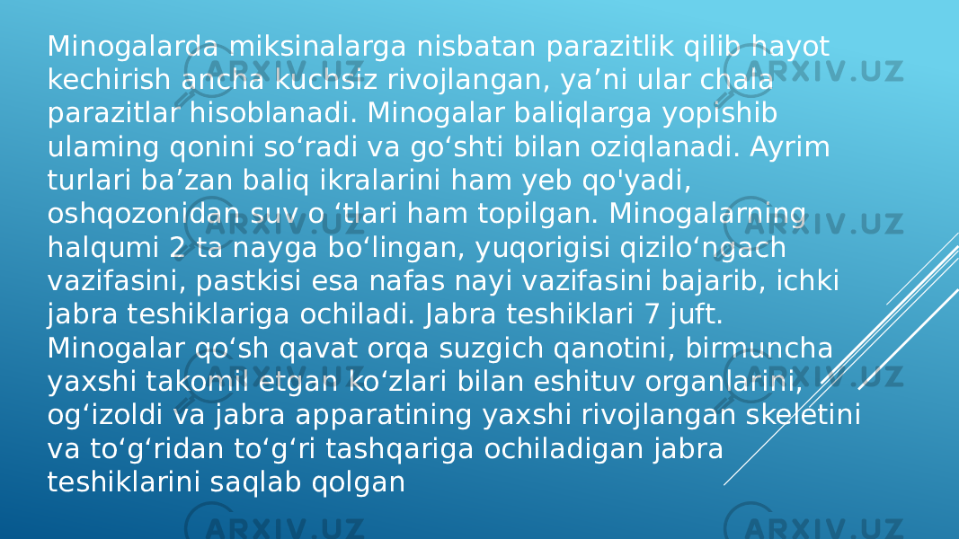 Minogalarda miksinalarga nisbatan parazitlik qilib hayot kechirish ancha kuchsiz rivojlangan, ya’ni ular chala parazitlar hisoblanadi. Minogalar baliqlarga yopishib ulaming qonini so‘radi va go‘shti bilan oziqlanadi. Ayrim turlari ba’zan baliq ikralarini ham yeb qo&#39;yadi, oshqozonidan suv o ‘tlari ham topilgan. Minogalarning halqumi 2 ta nayga bo‘lingan, yuqorigisi qizilo‘ngach vazifasini, pastkisi esa nafas nayi vazifasini bajarib, ichki jabra teshiklariga ochiladi. Jabra teshiklari 7 juft. Minogalar qo‘sh qavat orqa suzgich qanotini, birmuncha yaxshi takomil etgan ko‘zlari bilan eshituv organlarini, og‘izoldi va jabra apparatining yaxshi rivojlangan skeletini va to‘g‘ridan to‘g‘ri tashqariga ochiladigan jabra teshiklarini saqlab qolgan 