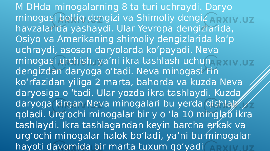 M DHda minogalarning 8 ta turi uchraydi. Daryo minogasi boltiq dengizi va Shimoliy dengiz havzalarida yashaydi. Ular Yevropa dengizlarida, Osiyo va Amerikaning shimoliy dengizlarida ko‘p uchraydi, asosan daryolarda ko‘payadi. Neva minogasi urchish, ya’ni ikra tashlash uchun dengizdan daryoga o‘tadi. Neva minogasi Fin ko‘rfazidan yiliga 2 marta, bahorda va kuzda Neva daryosiga o ‘tadi. Ular yozda ikra tashlaydi. Kuzda daryoga kirgan Neva minogalari bu yerda qishlab qoladi. Urg‘ochi minogalar bir y o ‘la 10 minglab ikra tashlaydi. Ikra tashlagandan keyin barcha erkak va urg‘ochi minogalar halok bo‘ladi, ya’ni bu minogalar hayoti davomida bir marta tuxum qo‘yadi 